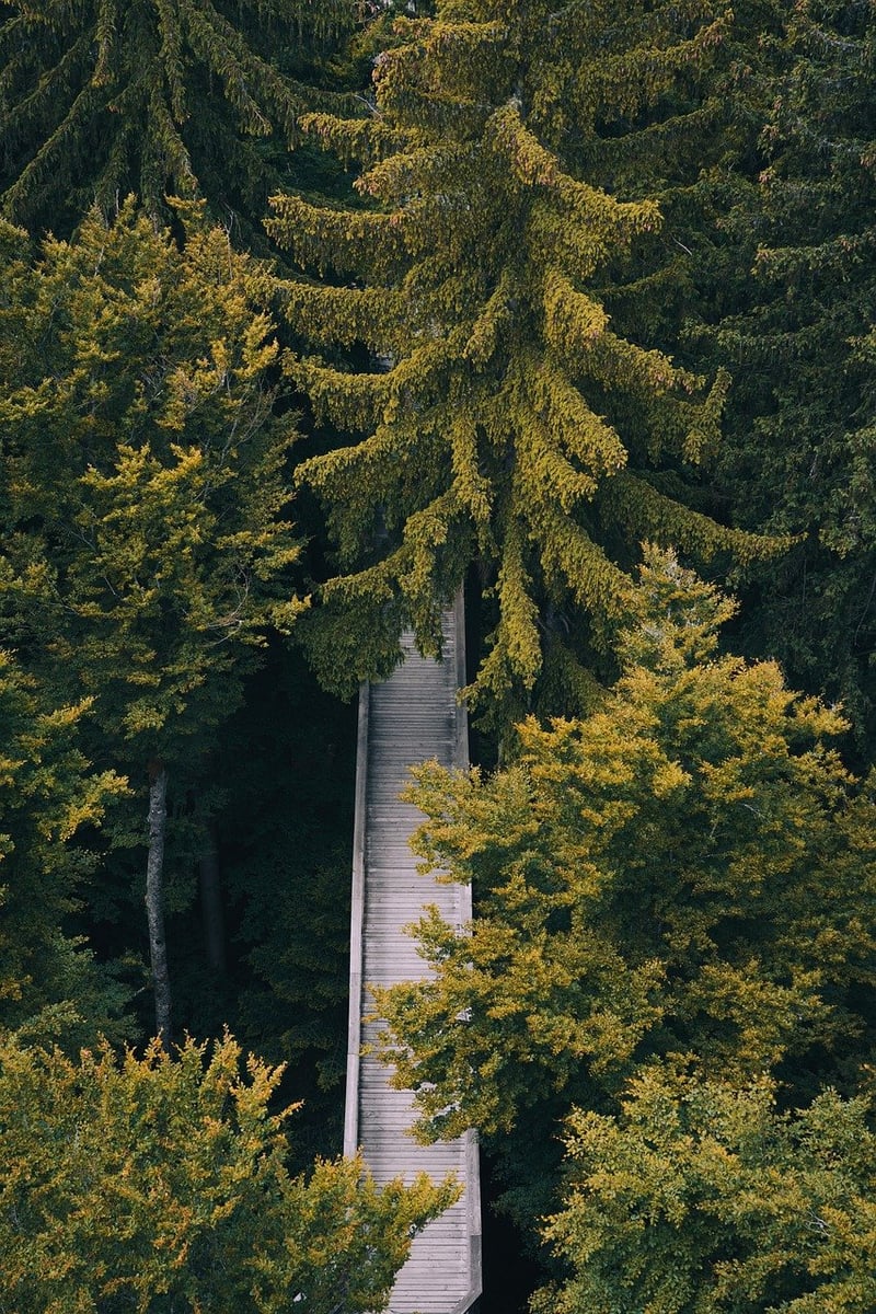 Urban Walking Paths